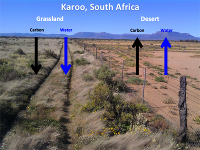 The results of holistic land management are clear on the left half of the photo, datelined Karoo, South Africa